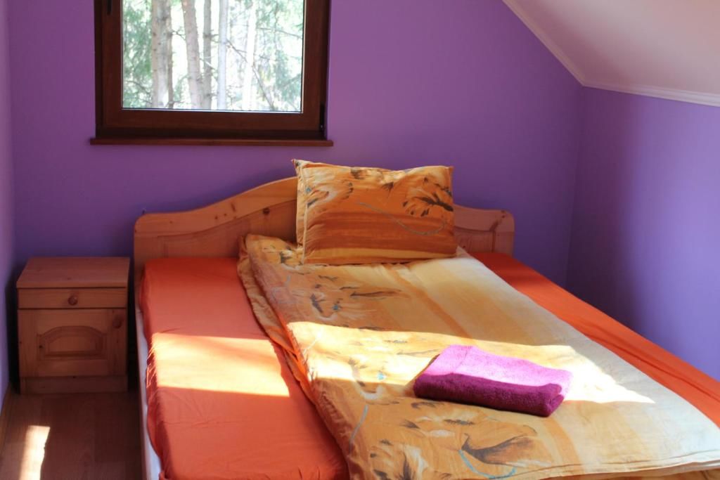 Дома для отпуска Holiday Guest House Одорхею-Секуеск-41